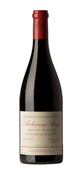 Egly-Ouriet Coteaux Champenois