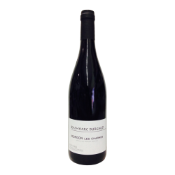 Domaine Jean-Marc Burgaud Morgon "Les Charmes" 2013