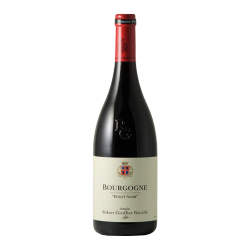 Domaine Robert Groffier Bourgogne Pinot Noir 2013