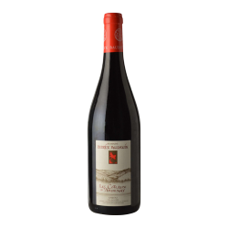 Domaine Patrick Baudouin "Coteaux d'Ardenay" 2014