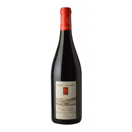 Domaine Patrick Baudouin "Coteaux d'Ardenay" 2014