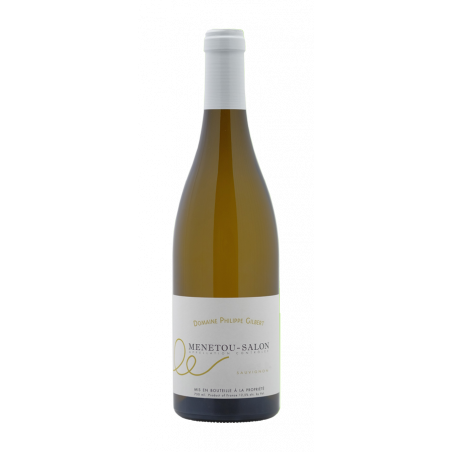 Domaine Philippe Gilbert Menetou-Salon Blanc 2013