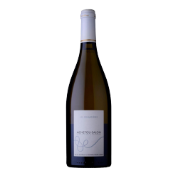 Domaine Philippe Gilbert Menetou-Salon "Renardières" Blanc 2010