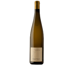 Domaine Trapet Riesling Schlossberg Grand Cru 2012