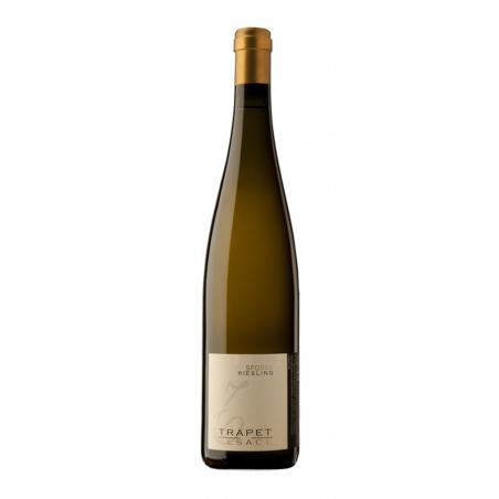 Domaine Trapet Riesling Sporen Grand Cru 2011