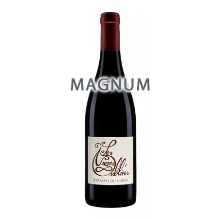 Les Vignes Oubliées Rouge 2014 MAGNUM