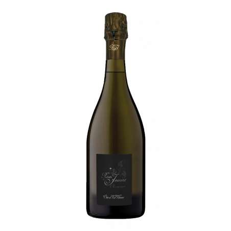 Cédric Bouchard - Champagne Roses de Jeanne "Côte de Béchalin" Blanc de Noirs V09