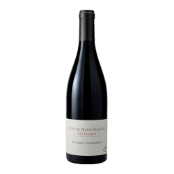 Domaine Antoine Lienhardt Côte de Nuits Villages "Les Essards" 2015