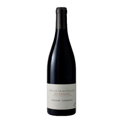 Domaine Antoine Lienhardt Côte de Nuits Villages "Aux Vignottes" 2015