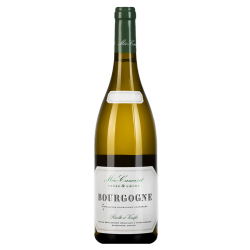 Domaine Méo-Camuzet Bourgogne Blanc 2013