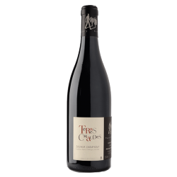 Thierry Germain - Domaine des Roches Neuves "Terres Chaudes" 2015