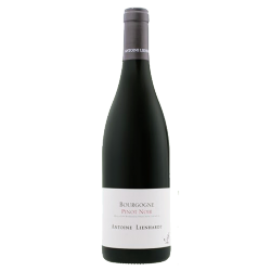 Domaine Antoine Lienhardt Bourgogne Pinot Noir 2015