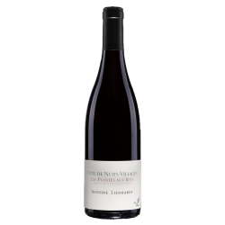 Domaine Antoine Lienhardt Côte de Nuits Villages "Les Plantes Aux Bois" 2016