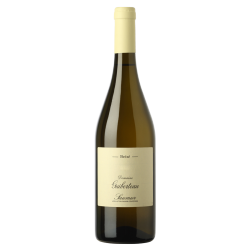 Romain Guiberteau - Saumur...