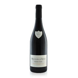 Domaine Labruyère -...