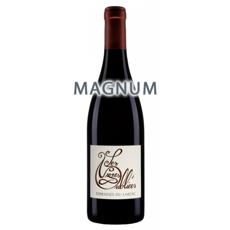 Les Vignes Oubliées Rouge 2017 MAGNUM