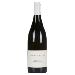 Bretaudeau Muscadet Sèvre-et-Maine 2018