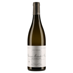 Domaine Marc Colin " Les Champs-Gain" 2016