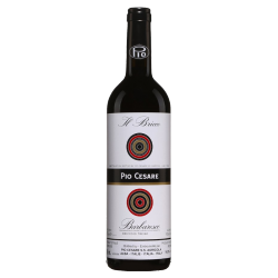 Pio Cesare Barbaresco Il Bricco 2015