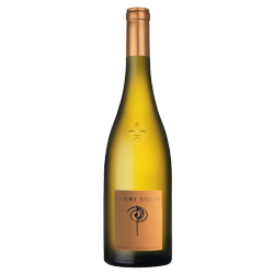 Luneau-Papin Pueri Solis 2009