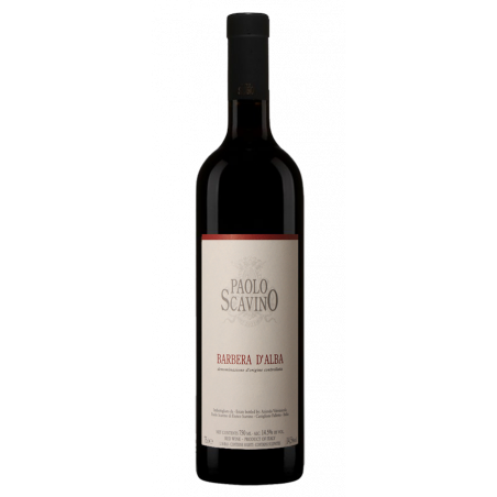 Tenuta Paolo Scavino Barbera d'Alba 2016