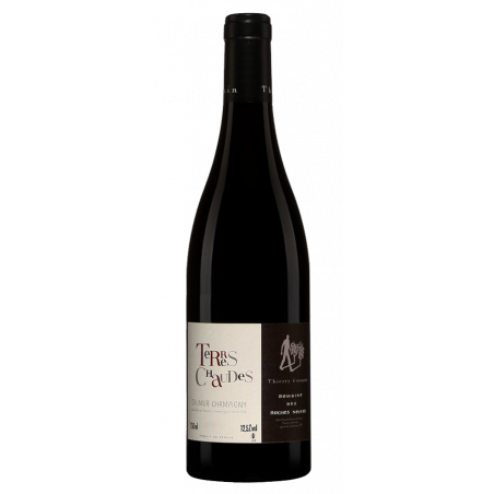 Thierry Germain - Domaine des Roches Neuves Terres Chaudes 2017