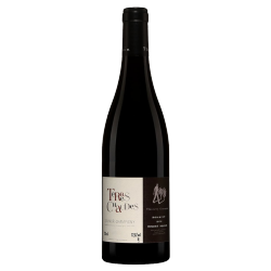 Thierry Germain - Domaine des Roches Neuves Terres Chaudes 2016