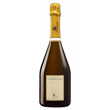 De Sousa Extra-Brut Cuvée des Caudalies Grand Cru 2008