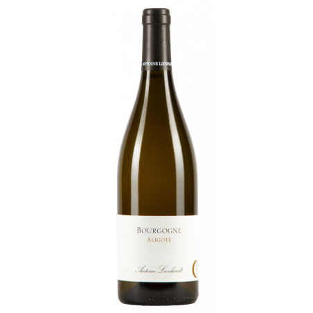 Domaine Antoine Lienhardt Bourgogne Aligoté 2016