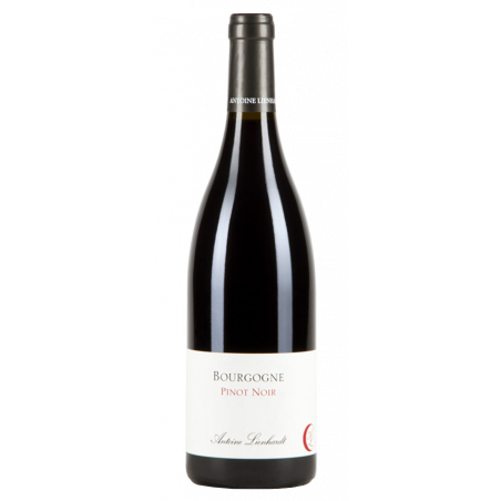 Antoine Lienhardt Bourgogne Pinot Noir 2018