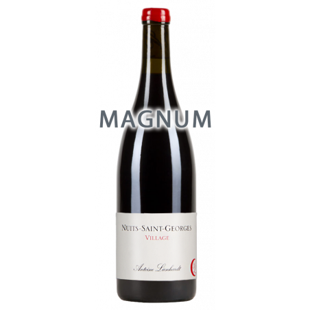 Antoine Lienhardt Nuits-Saint-Georges 2018 Magnum