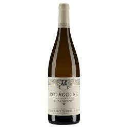 Domaine Michel Bouzereau Bourgogne Chardonnay 2018