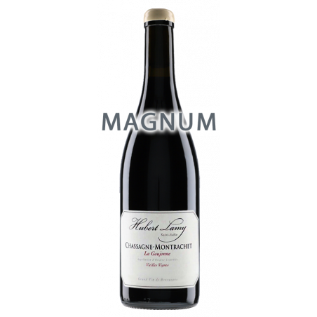 Hubert Lamy Rouge La Goujonne 2015 Magnum