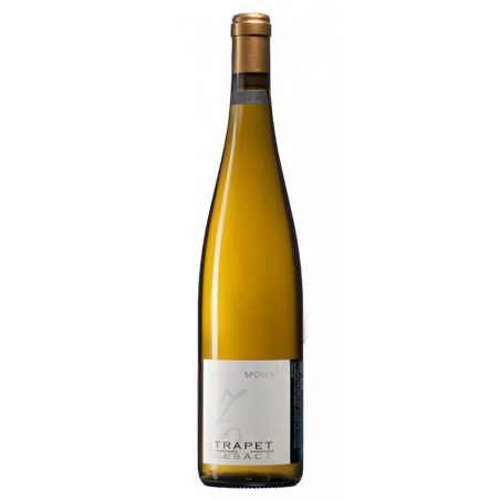 Trapet Alsace Grand Cru Gewürtztraminer Sporen 2013