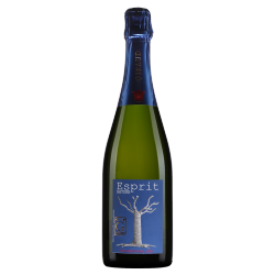 Champagne Henri Giraud Esprit Nature