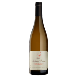 Antoine Arena Patrimonio Blanc Carco 2019