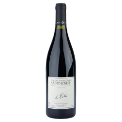 Domaine Vincent Paris Saint-Joseph Les Côtes 2019