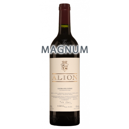 Vega Sicilia Alion 2017 Magnum