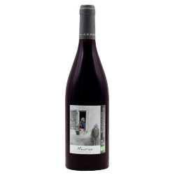 Marc Delienne Beaujolais Maurice 2019