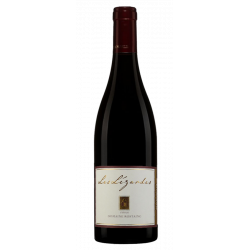 Domaine Rostaing Syrah Les Lézardes 2019