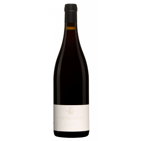 Domaine Trapet Bourgogne Rouge 2018