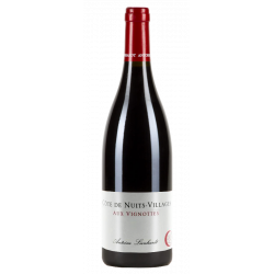 Antoine Lienhardt Côte de Nuits Villages Aux Vignottes 2016