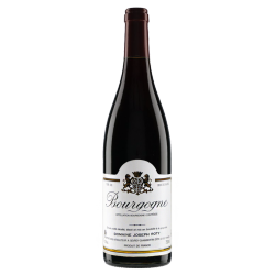 Domaine Joseph Roty Bourgogne Pinot Noir 2019