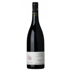 Jacky Blot - Domaine de la Butte Bourgeuil Perrières 2019