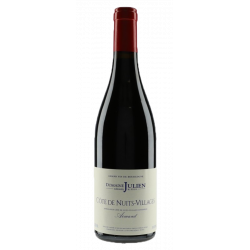 Domaine Gérard Julien & Fils Côte de Nuits Villages "Armand" 2019