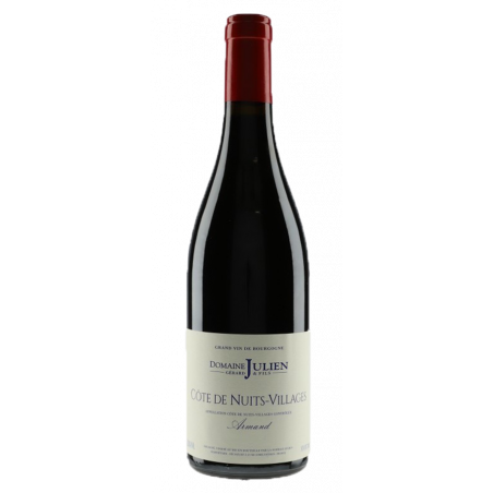 Domaine Gérard Julien & Fils Côte de Nuits Villages "Armand" 2019