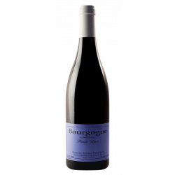 Domaine Sylvain Pataille Bourgogne Rouge 2019