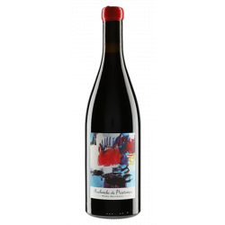 Domaine Marc Delienne Fleurie "Avalanche de Printemps" 2019