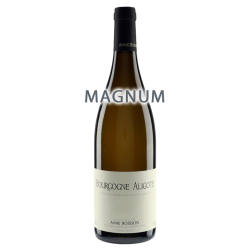 Anne Boisson Bourgogne Aligoté 2020 MAGNUM