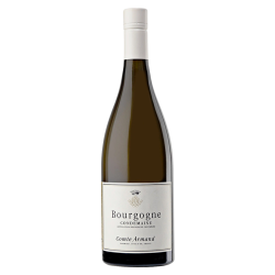 Domaine du Comte Armand Bourgogne "Condemaine" 2020